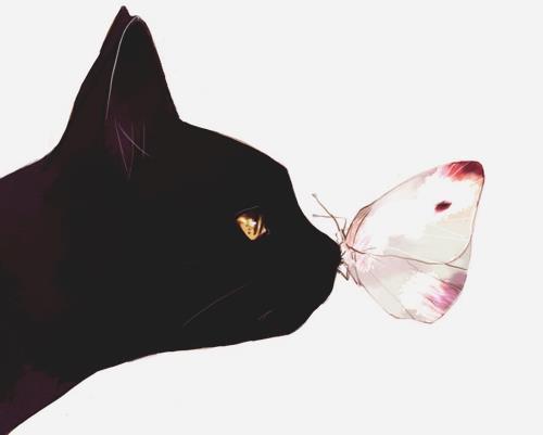 Фото Кошка с бабочкой на носу