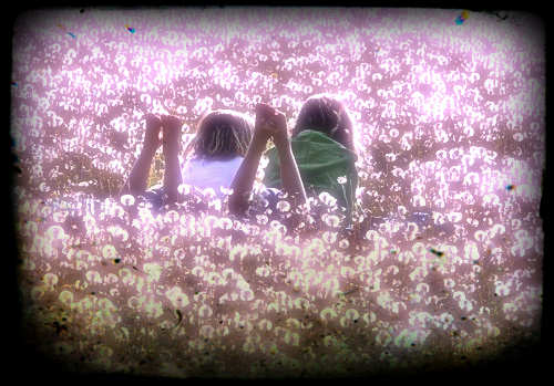 Фото Две девочки лежат на цветочной поляне