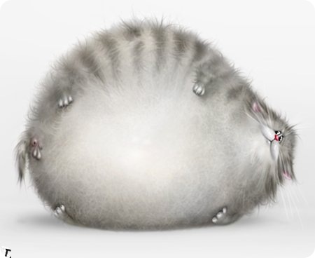 Фото Толстый серый кот лежит на полу