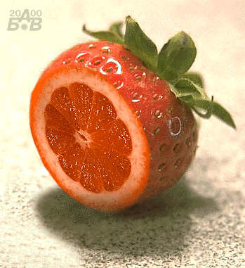 Фото Гибрид клубники с грейпфрутом