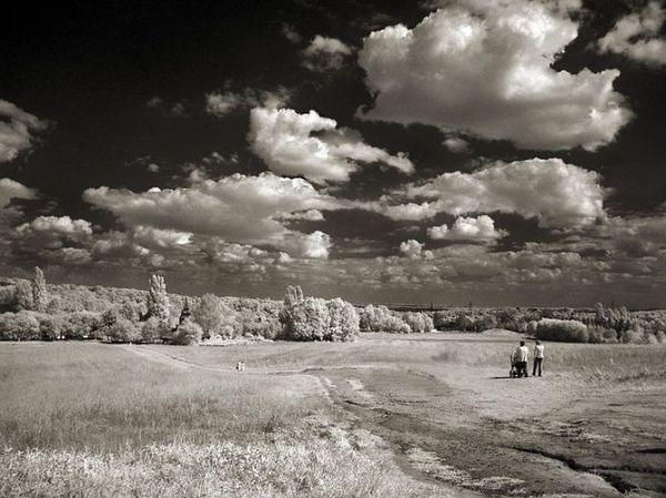 Фото Широта и красота русского поля