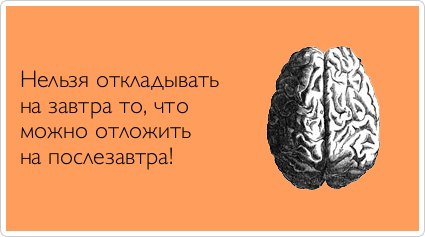 Фото Целый мозг (Нельзя откладывать на завтра то, что можно отложить на послезавтра!)