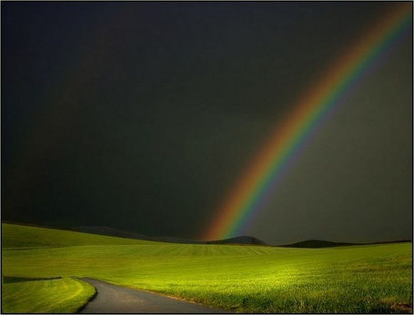 Фото радуга липецк плеханова