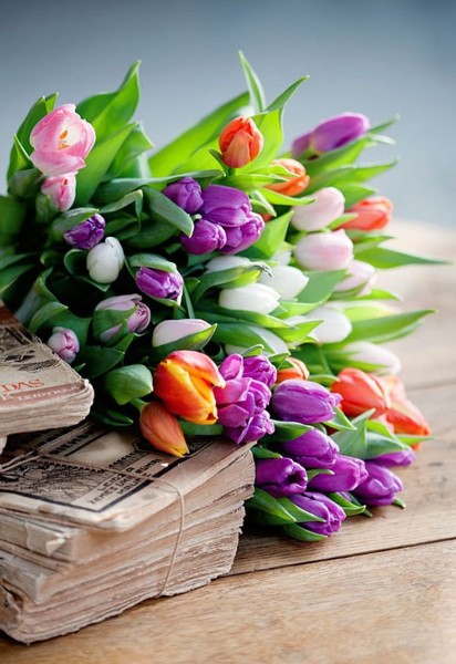Нету денег на цветы: сделал тюльпаны из бумаги