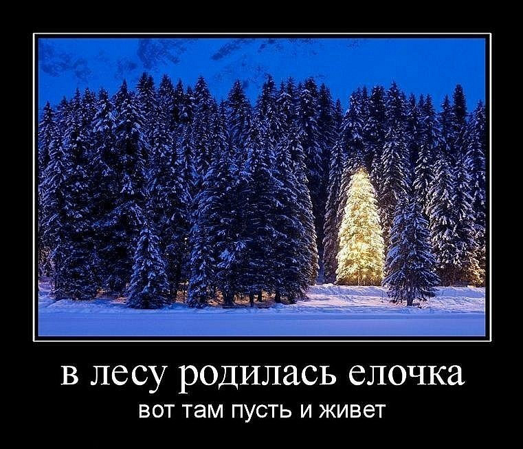 В лесу родилась елочка фото