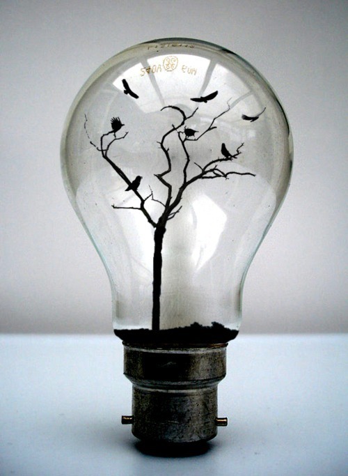 Фото Лампочка, в которой растет дерево и летают птицы