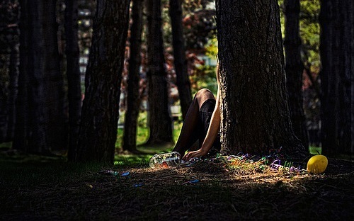 Спряталась в тени деревьев