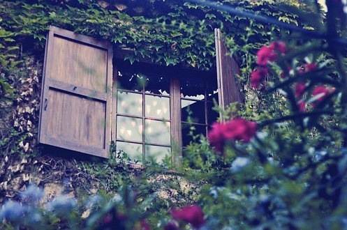 Фото Окно, оплетенное виноградом и скрытое за цветами