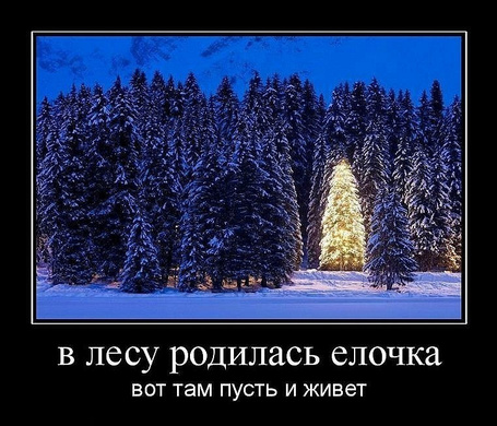 Фото В лесу родилась елочка, вот там пусть и живет