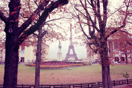 Фото Эйфелева башня, вид через деревья, Париж / Paris, Франция / France
