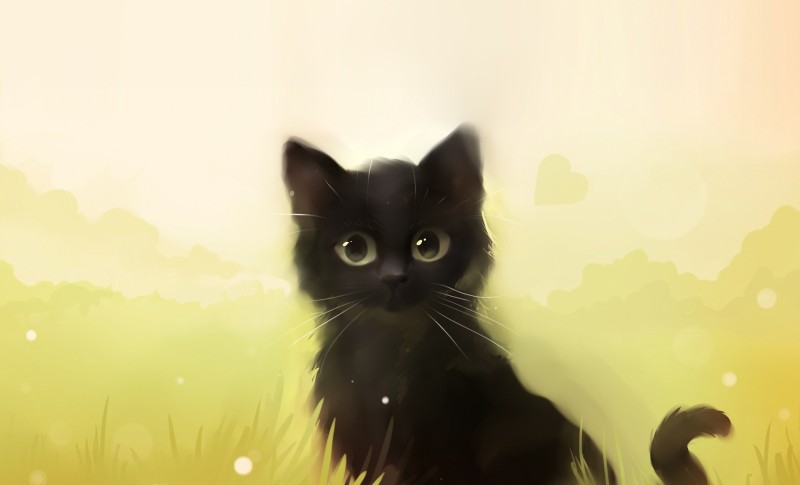 Фото Черный кот в поле