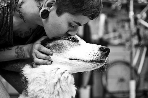 Фото Неформальный парень целует собаку