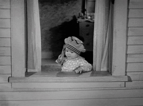 Фото Девочка выбрасывает доллары в окно 