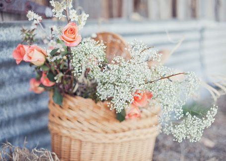 Фото Корзинка с розами