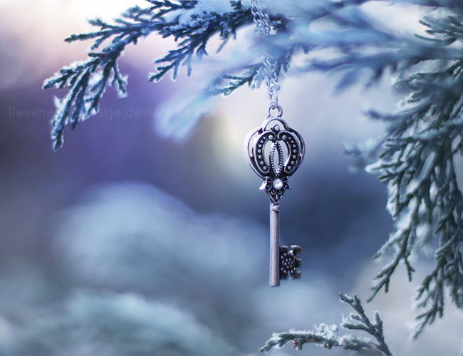 Фото Ключ на цепочке висит на еловой ветке, by lieveheersbeestje