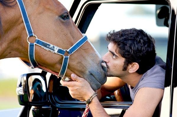 Фото Шейх Хамдан бин Мухаммед бин Рашид Аль Мактум / Hamdan bin Mohammed bin Rashid al Maktoum - наследный принц  Дубаи целует своего коня, сидя в машине