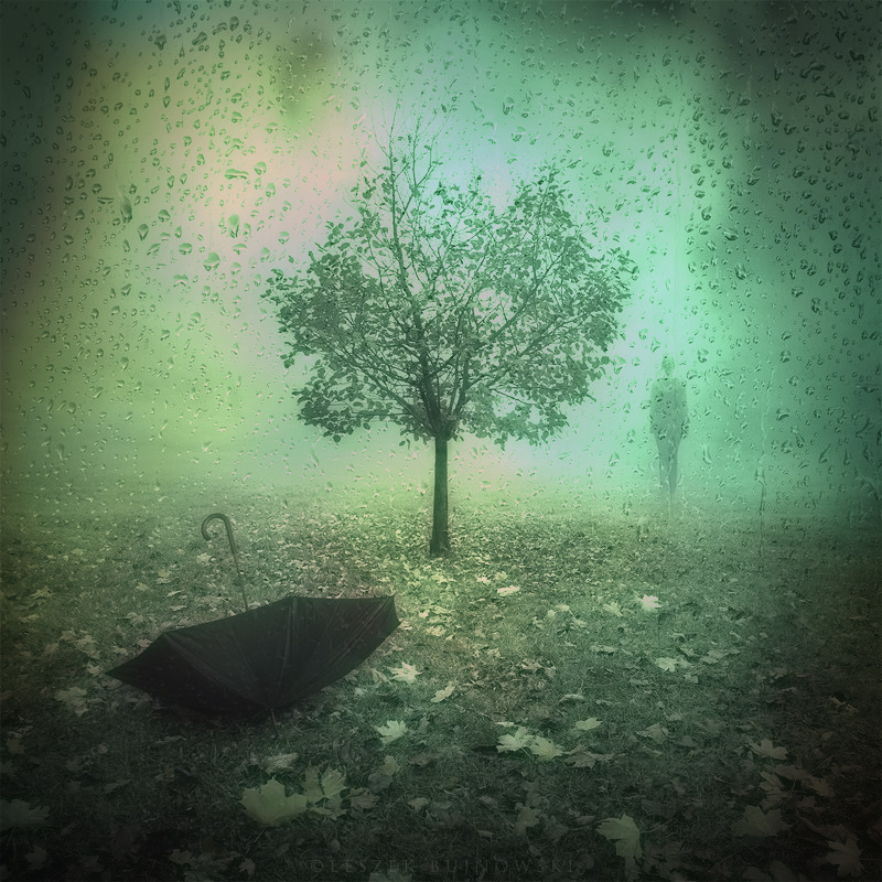 Фото Зонтик лежит на фоне дерева, одиноко стоящего в поле, под дождём