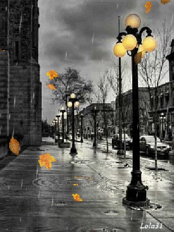 Фото Листопад на дождливой улице, где горят фонари, lola31