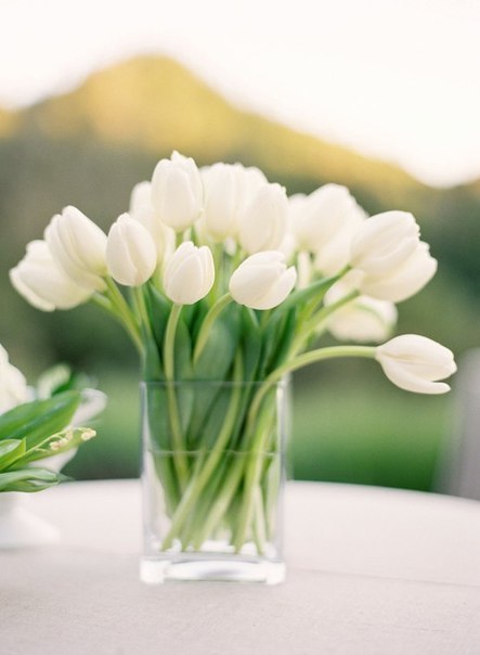 Фото Белый букет тюльпанов в стеклянной вазе