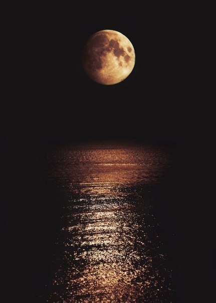 Фото Луна над морем