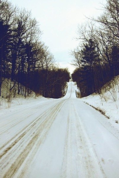 Фото Заснеженная дорога, ведущая через лес