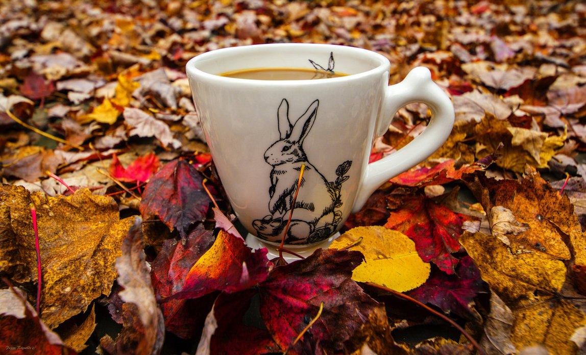 Фото Кружка кофе стоит на опавших осенних листьях