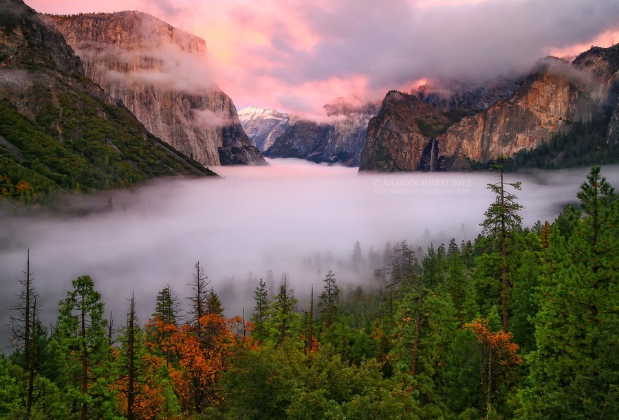 Нло над лесом фото