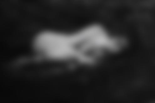 Фото Обнаженная девушка лежит в гнезде из веток ( Фотограф Мона / Photographer Mona)
