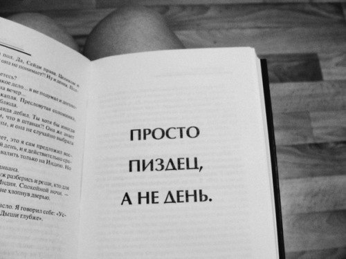 Картина дня в Приморье: временно не член, Путин и КО и штормовое предупреждение