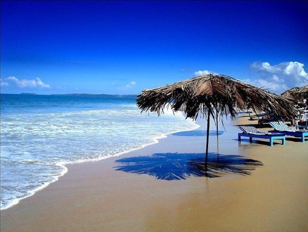 Фото Пляж с шезлонгами и зонтиками из пальмовых листьев, Гоа, Индия / Goa, India