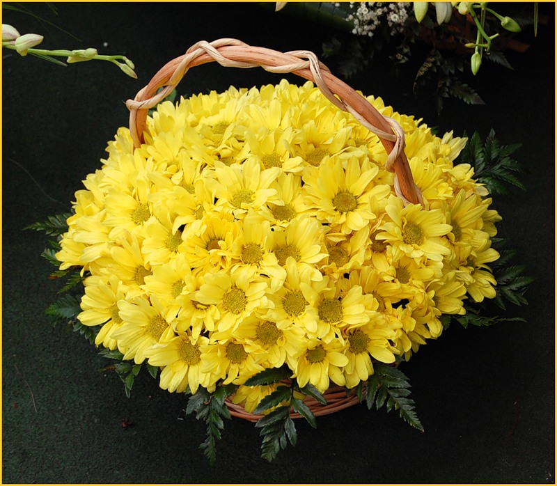 Букет из желтых и белых хризантем фото