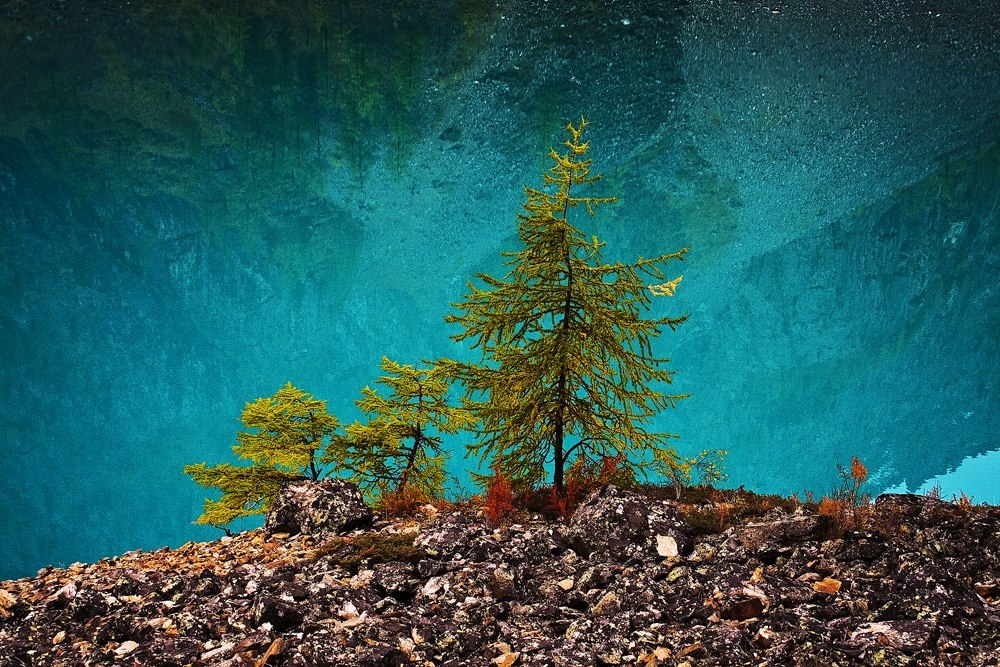 Фото Алтай, Нижнее Шавлинское озеро, Россия, фотограф Виталий Ярославский / Altai Shavlinskoe Lower Lake, Russia, photographer Vitaly Yaroslavl