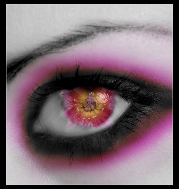 Фото Женский глаз со зрачком в виде бутона цветка