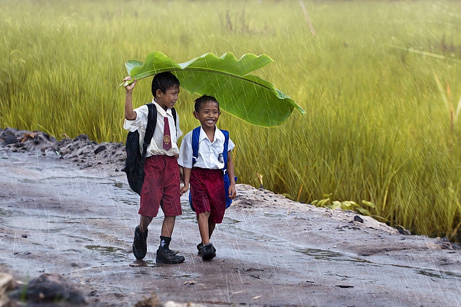 Фото Дети идут по дорожке, прячась от дождя большим листом, фотограф Кендисан Серуян / Kendisan Seruyan