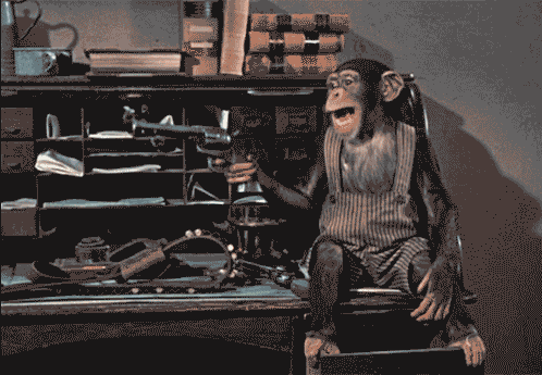 Фото Смеющаяся обезьяна выстрелила из пистолета, из ствола оружия тянется дымок
