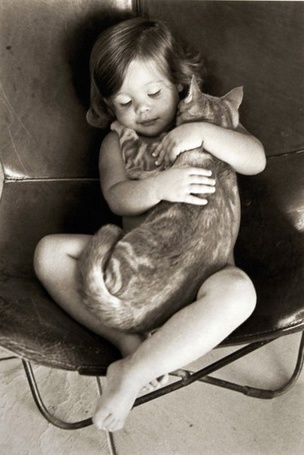 Фото Маленькая девочка держит кота в руках