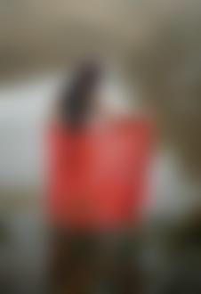 Фото Девушка, прикрытая красной прозрачной тканью, которую она держит в руках, заходит в утреннею реку, над которой стоит туман