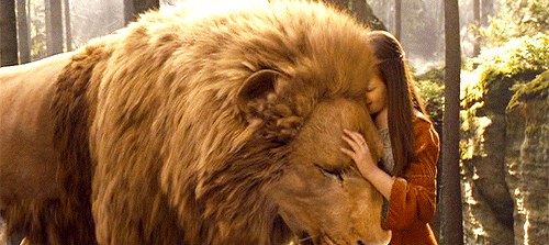 Фото Люси/Lucy гладит льва Аслана/ Aslan из фильма Нарния/ Narnia