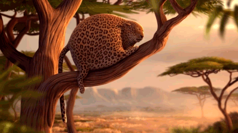 Фото Толстый леопард зевает и падает с ветки из видеоролика 'Rollin' Safari'