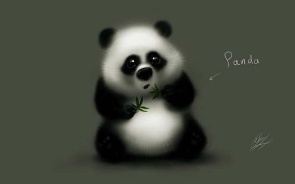 Фото Панда / Panda держит в лапах листья бамбука