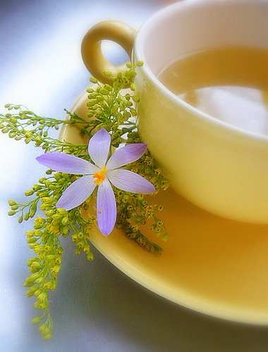 Фото Желтая чашка с чаем на блюдце, где лежит сиреневый цветок и веточка с мелкими желтыми цветочками