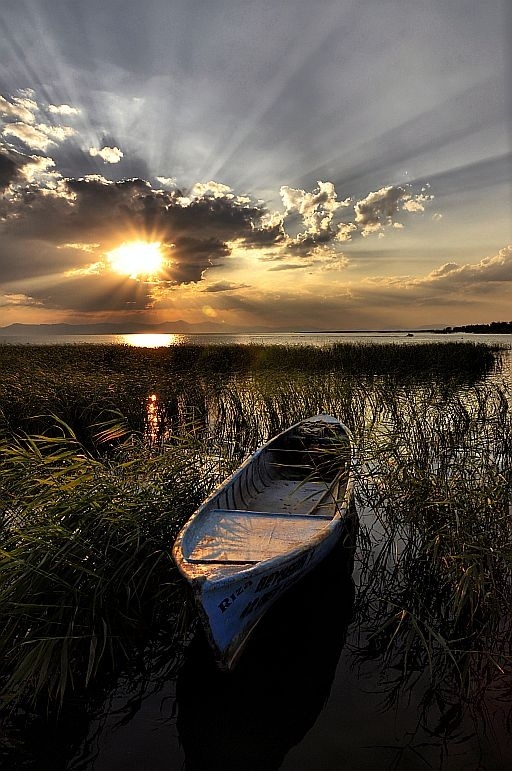 Фото Лодка в камышах на рассвете, фотограф Cemalsepici