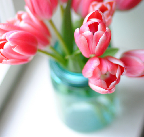 Фото Розовые тюльпаны в вазе