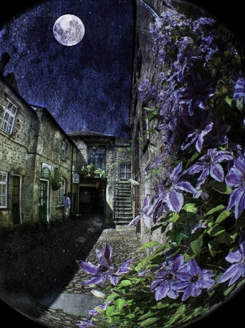 Фото Полная луна освещает улочку домов и цветов, изображение в форме шара