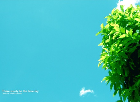 Песня было небо голубое была зеленая. Зелёные листья на голубом небе. Листья на фоне неба. Зеленые листья на фоне неба. Зеленая листва на фоне неба.