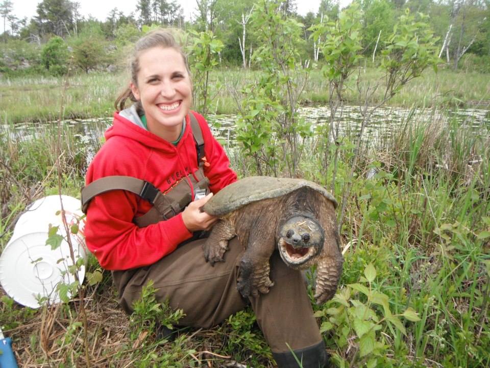 Фото Девушка держит на коленях разъяренную зубастую черепаху