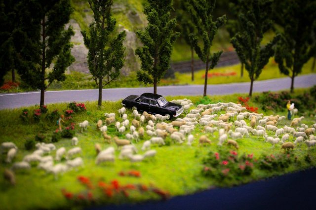 Фото Гранд макет Россия, черная машина на лугу возле дороге среди овец