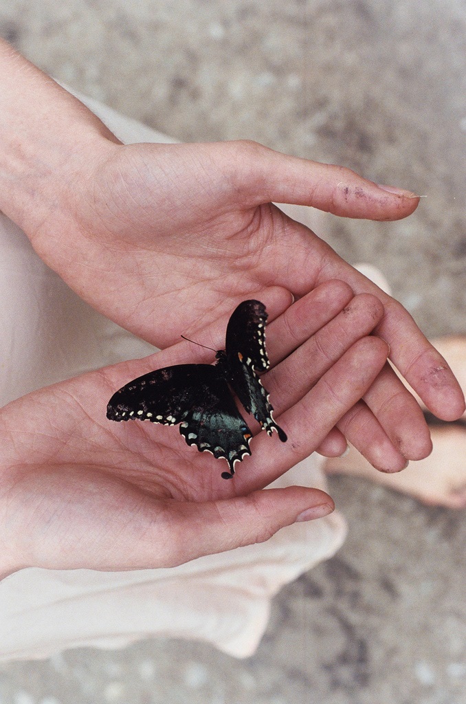 Фото Бабочка сидит на руках человека