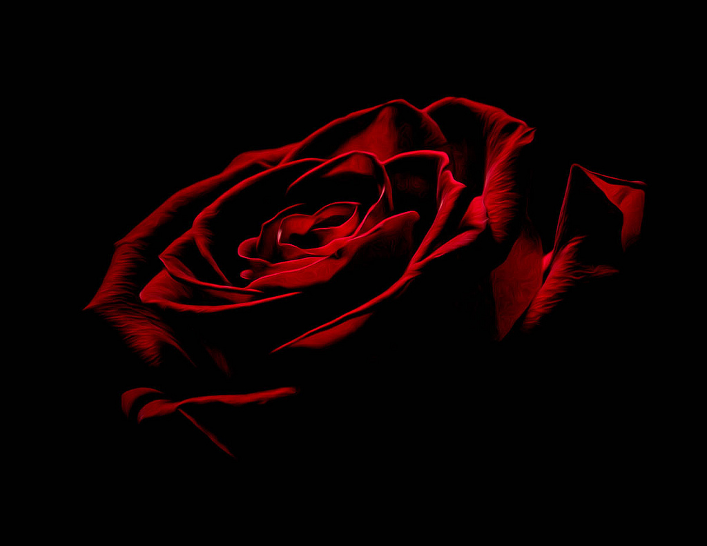 Темно алые розы а на душе лишь