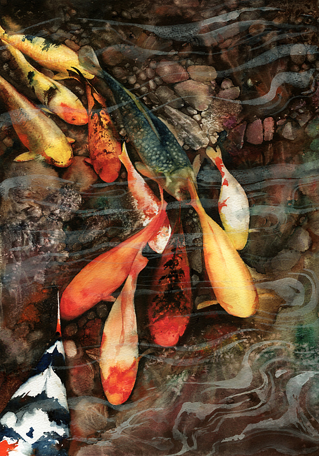 Фото Стая разноцветных рыб под водой, автор Питер Уильямс